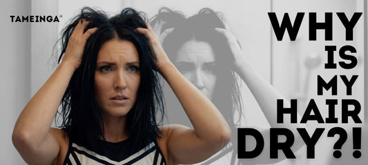 Why Is My Hair So Dry Even When I Condition It?